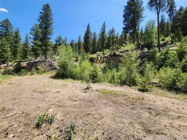 256 Capital Road Dumont, CO 80436