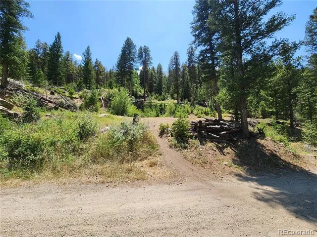 256 Capital Road Dumont, CO 80436