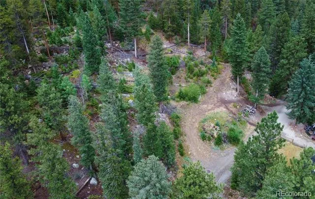 256 Capital Road Dumont, CO 80436