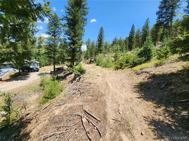 256 Capital Road Dumont, CO 80436