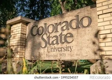 3017 Tulane Drive Fort Collins, CO 80525
