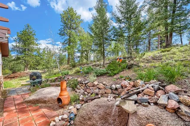3550 Nova Road Pine, CO 80470