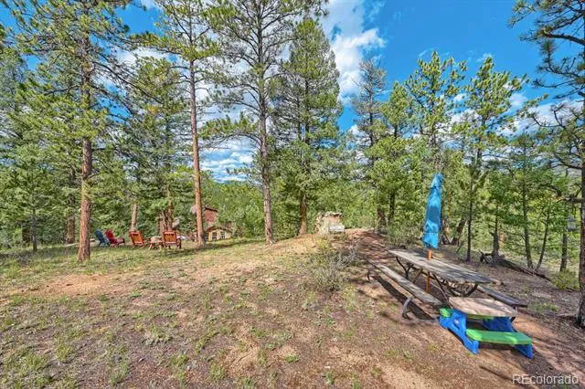3550 Nova Road Pine, CO 80470