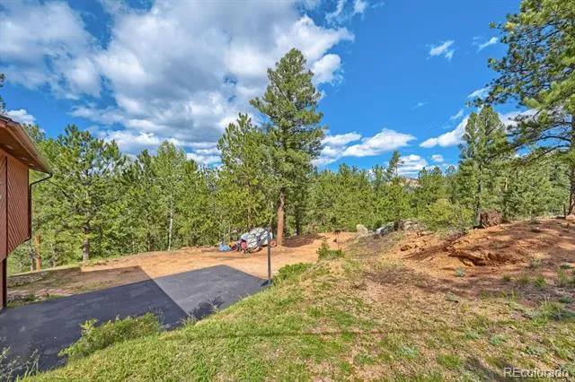 3550 Nova Road Pine, CO 80470