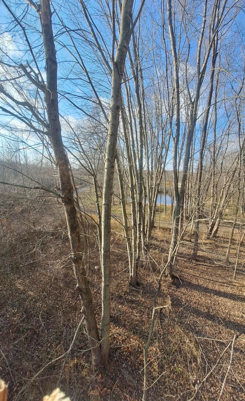 1863 Crystal Lane Allegan, MI 49010
