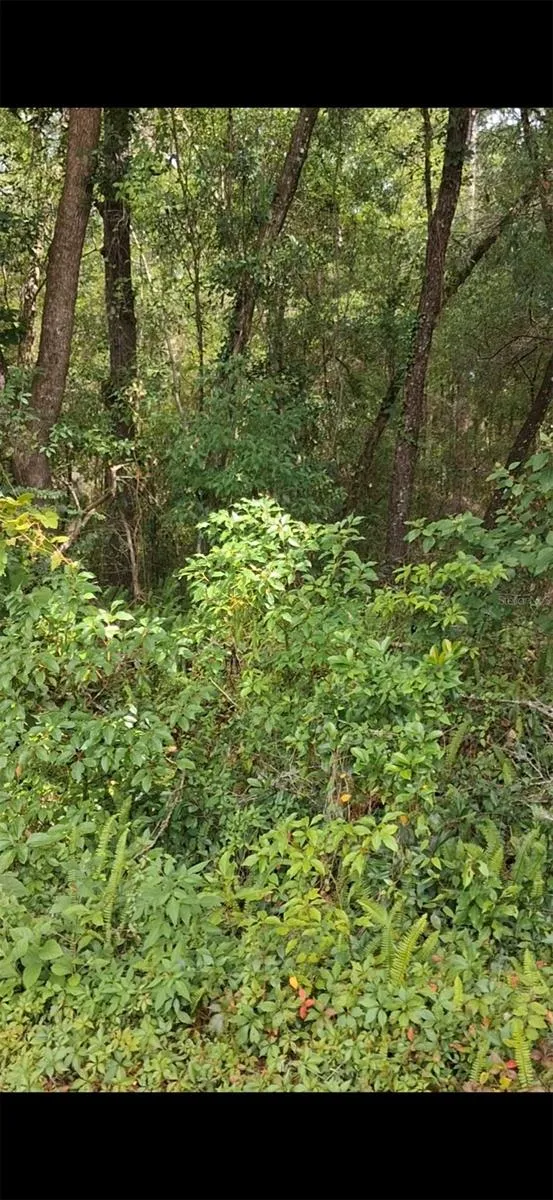 SW PEACOCK DRIVE Dunnellon, FL 34431