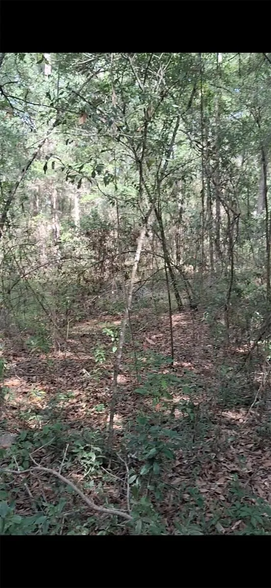 SW PEACOCK DRIVE Dunnellon, FL 34431