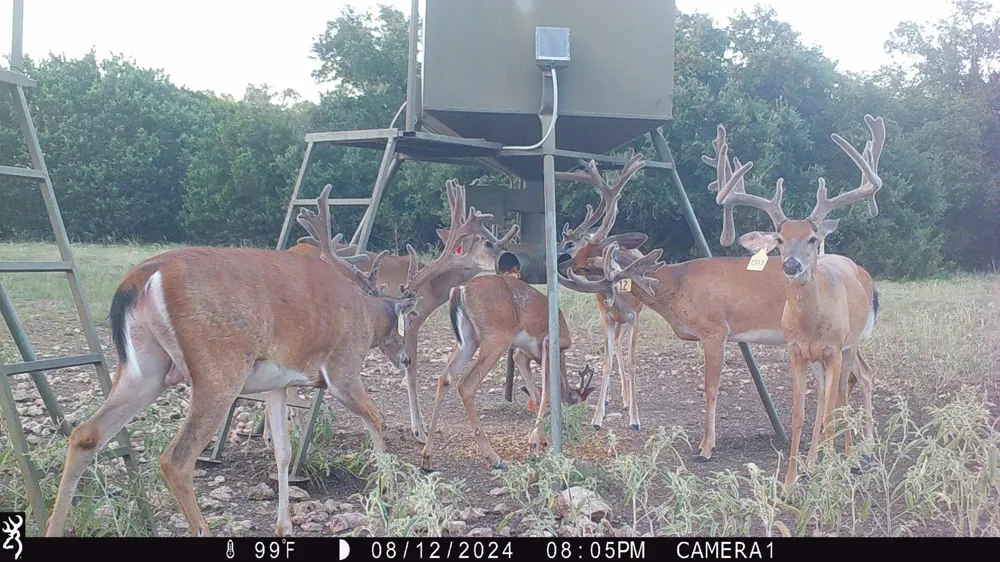 201 Private Road 2123 Meridian, TX 76665