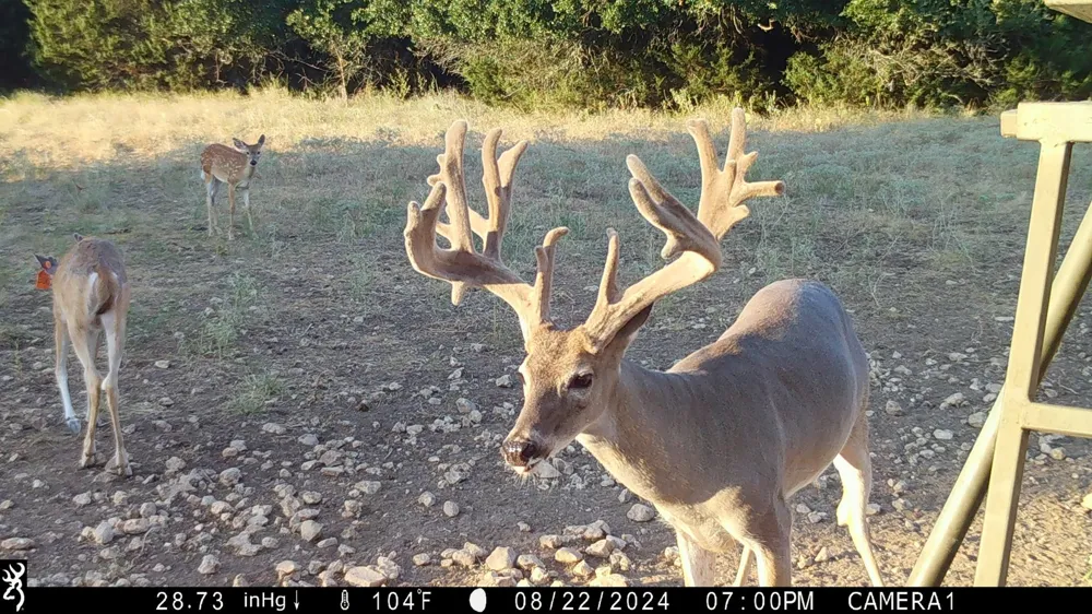 201 Private Road 2123 Meridian, TX 76665