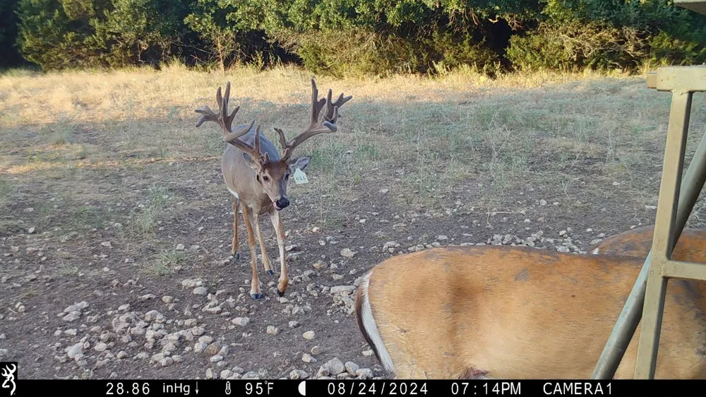 201 Private Road 2123 Meridian, TX 76665