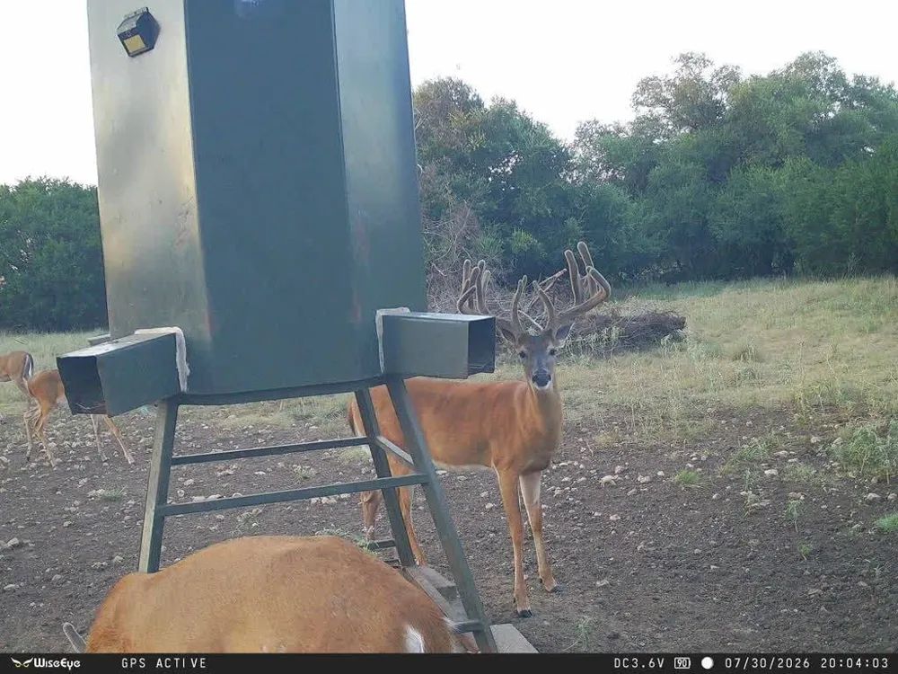 201 Private Road 2123 Meridian, TX 76665