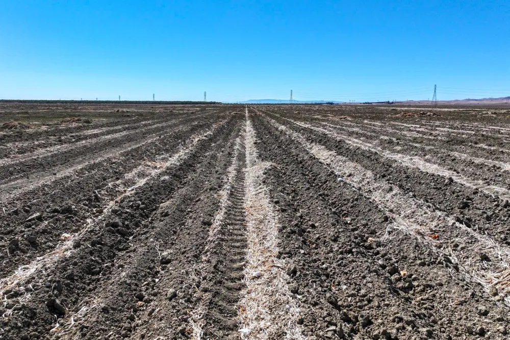 0 W Packard Avenue Coalinga, CA 93210