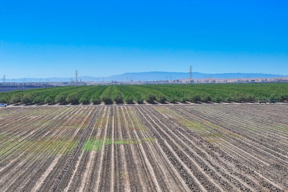 0 W Packard Avenue Coalinga, CA 93210