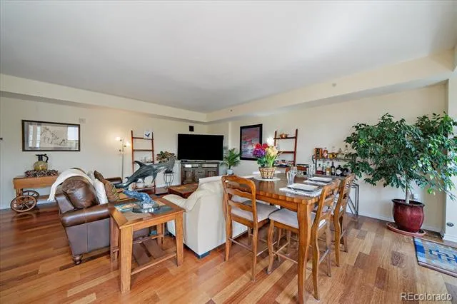 300 W 11th Avenue #18C Denver, CO 80204