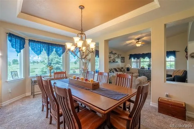 2385 Antelope Ridge Trail Parker, CO 80138