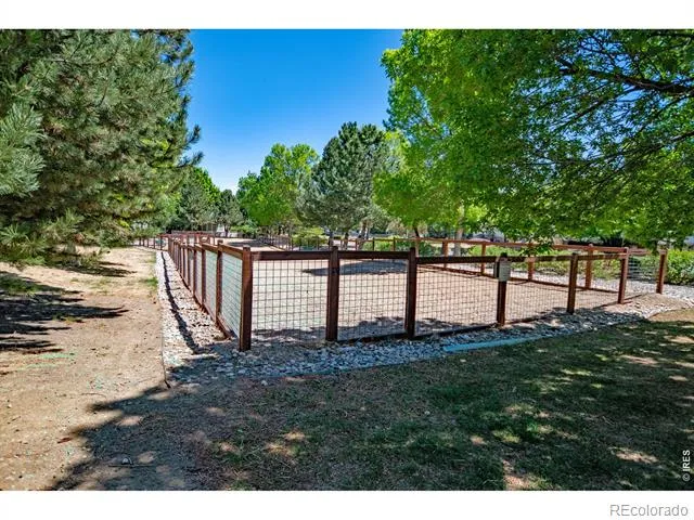 2059 Grays Peak Drive #201 Loveland, CO 80538