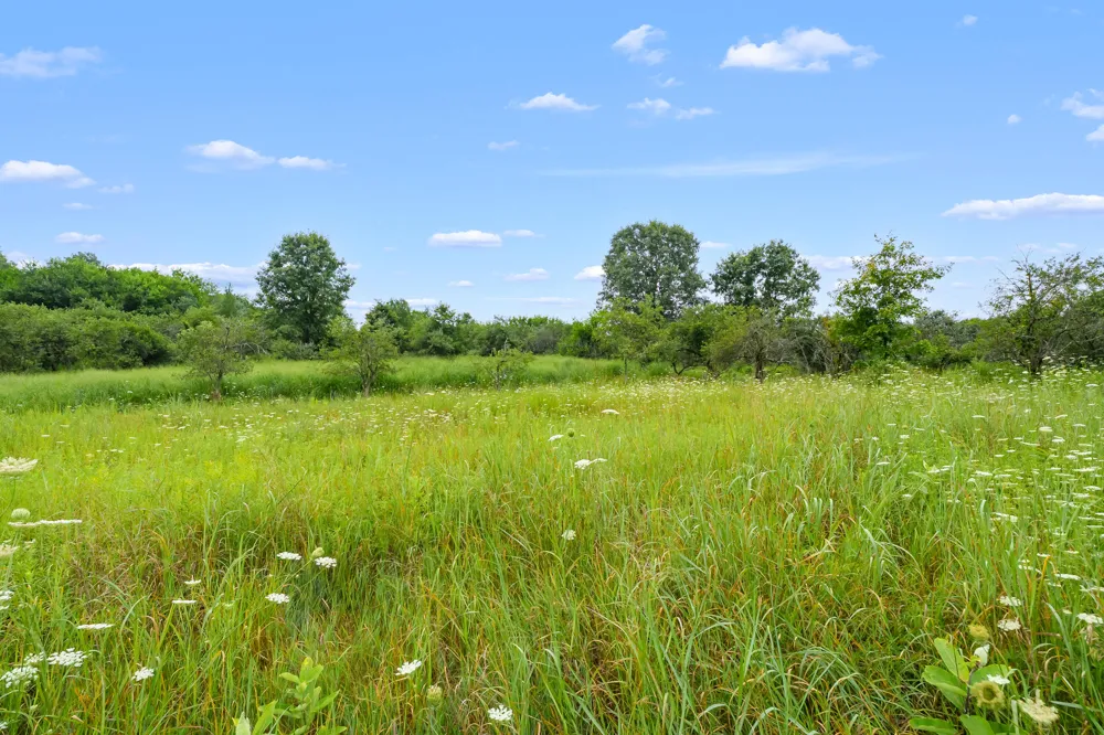 50360 29 1/2 STREET Paw Paw, MI 49079