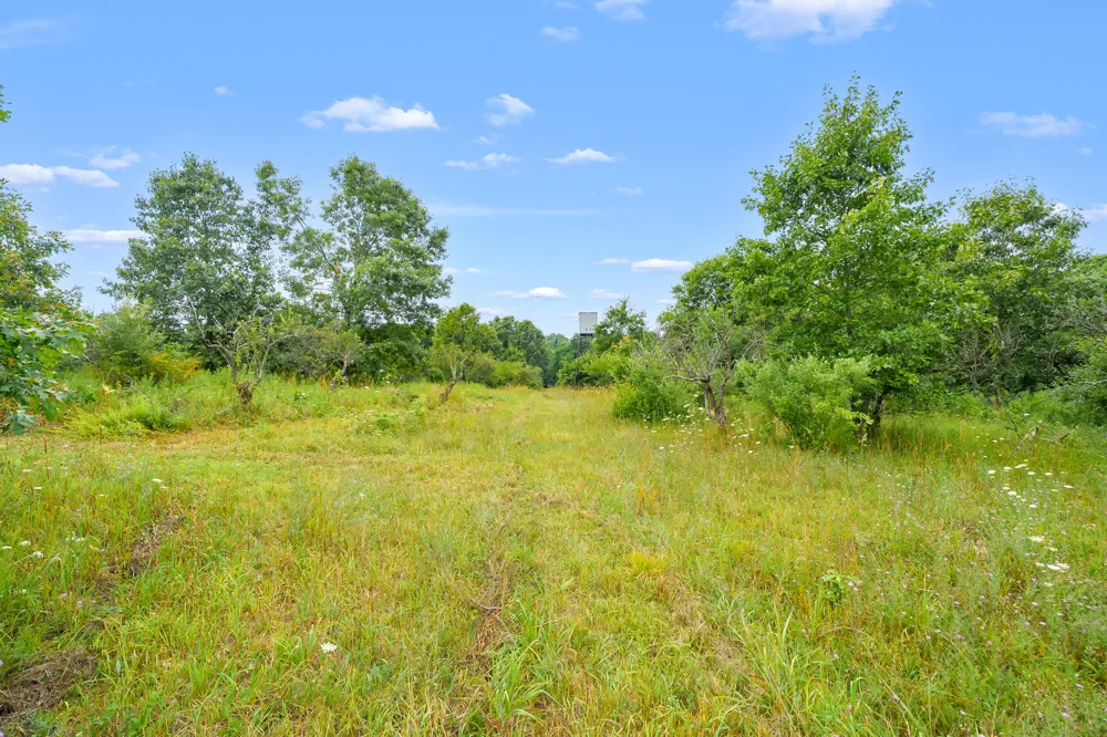 50360 29 1/2 STREET Paw Paw, MI 49079