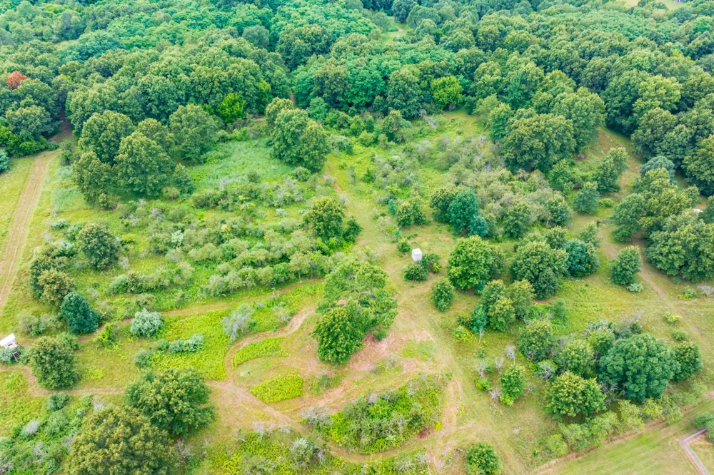 50360 29 1/2 STREET Paw Paw, MI 49079