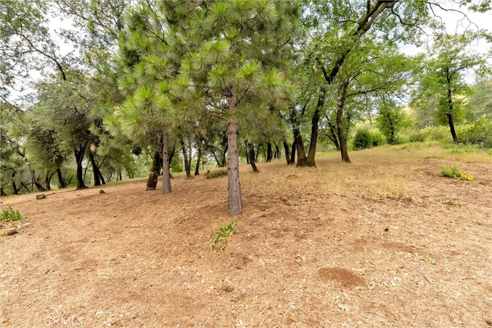 13411 Bean Flat Chico, CA 95928