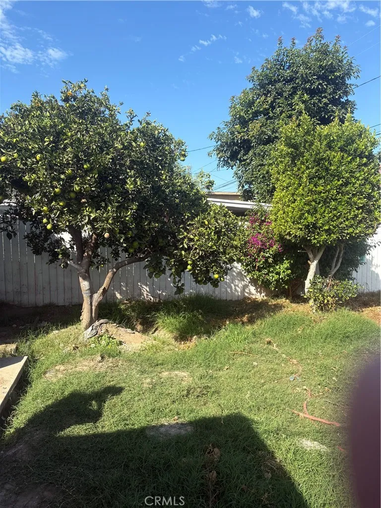 529 E 224th Street Carson, CA 90745