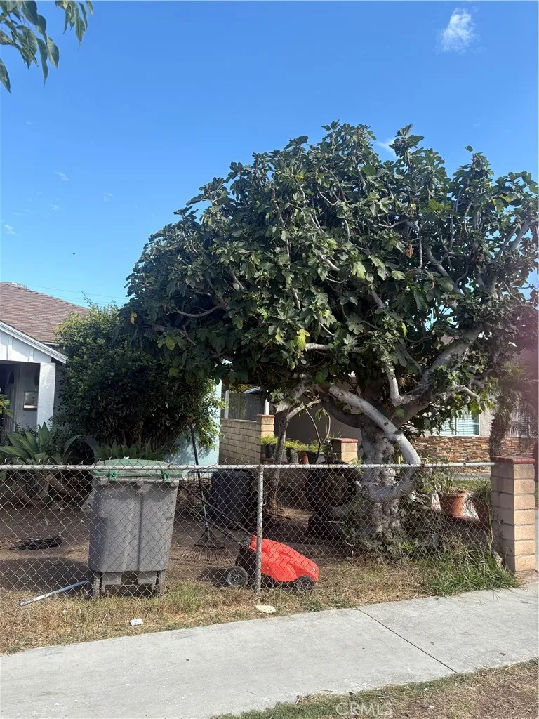 529 E 224th Street Carson, CA 90745