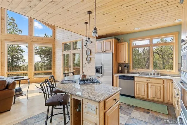 559 Bellows Road Hartsel, CO 80449