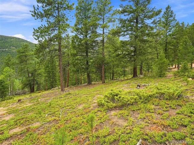 31084 Forest Shadow Trail Conifer, CO 80433