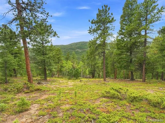 31084 Forest Shadow Trail Conifer, CO 80433