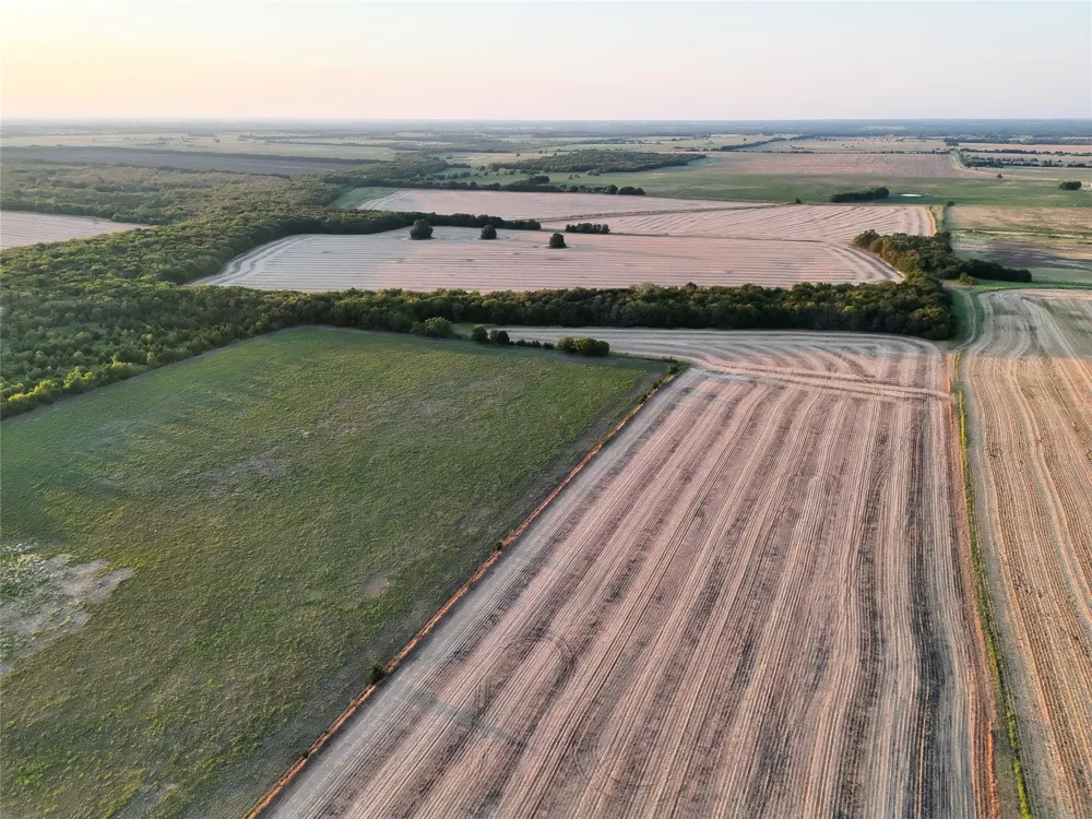 1 Fm 1530 Pecan Gap, TX 75469