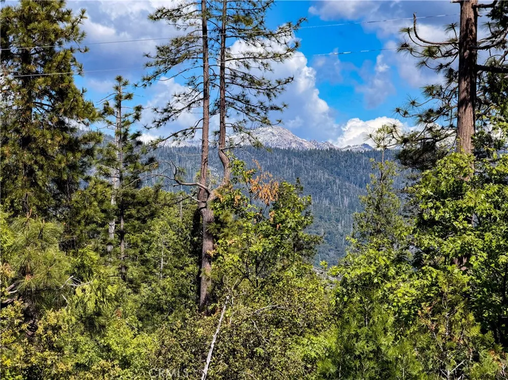 39420 Manzanita Drive Oakhurst, CA 93644