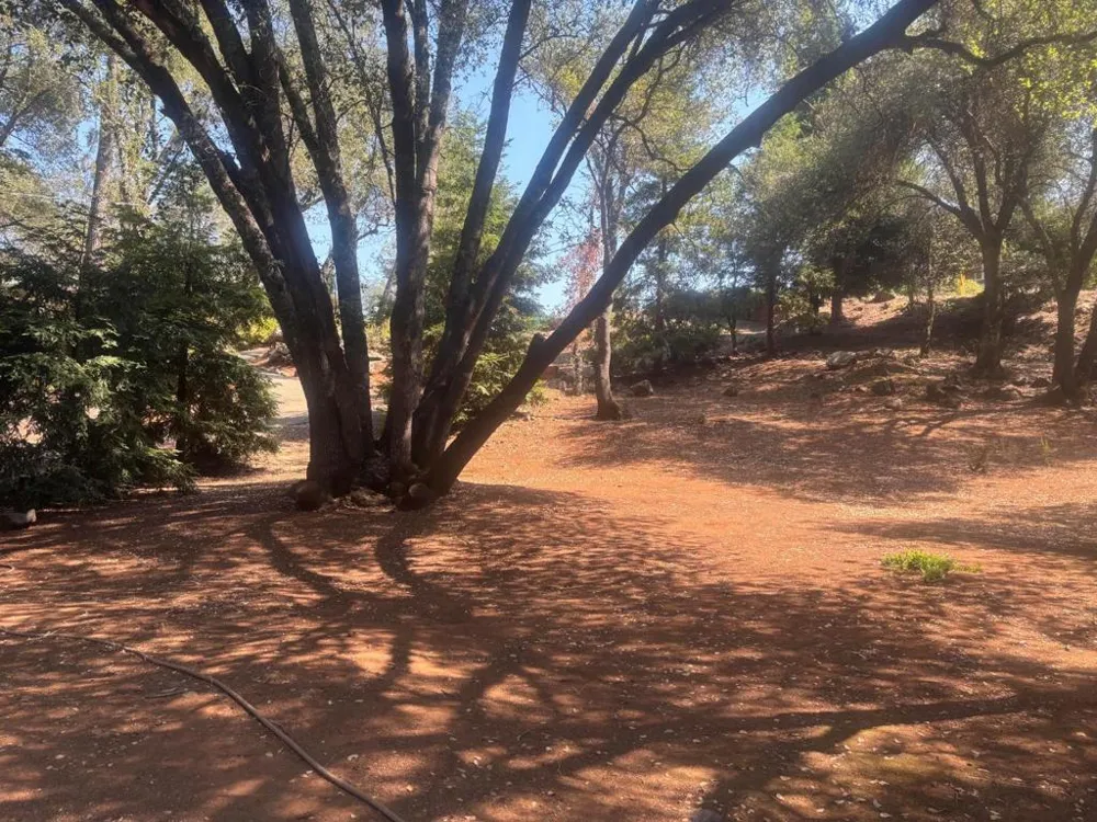 3652 Fairway Drive Cameron Park, CA 95682