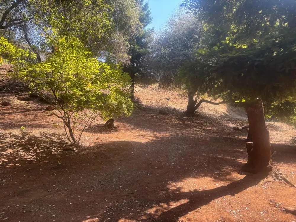 3652 Fairway Drive Cameron Park, CA 95682