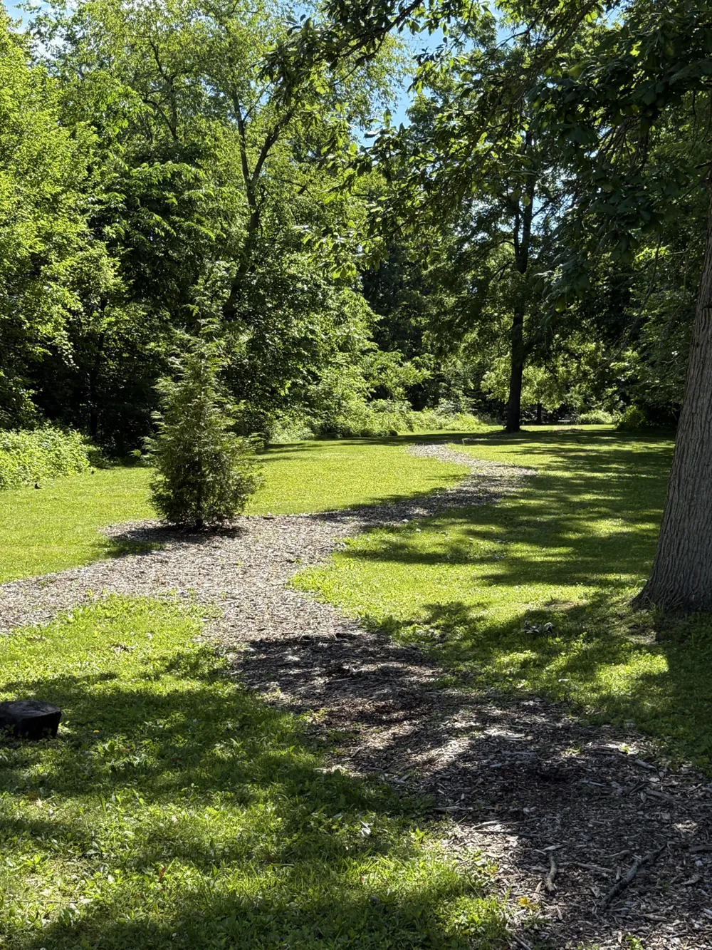 25352 Potomac Drive #7 South Lyon, MI 48178