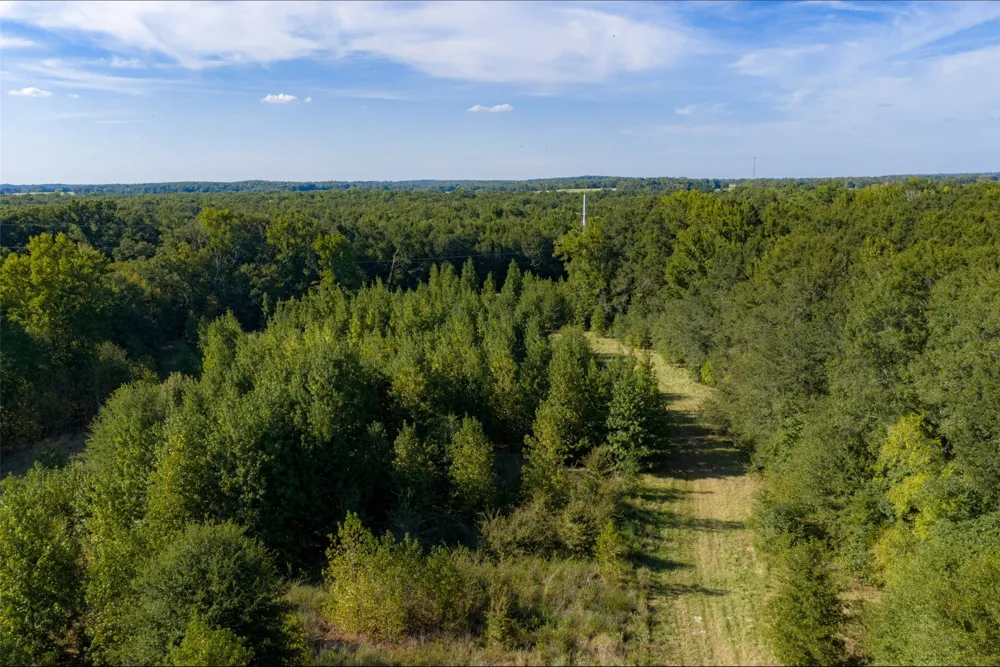 Cr-3516 Brownsboro, TX 75756