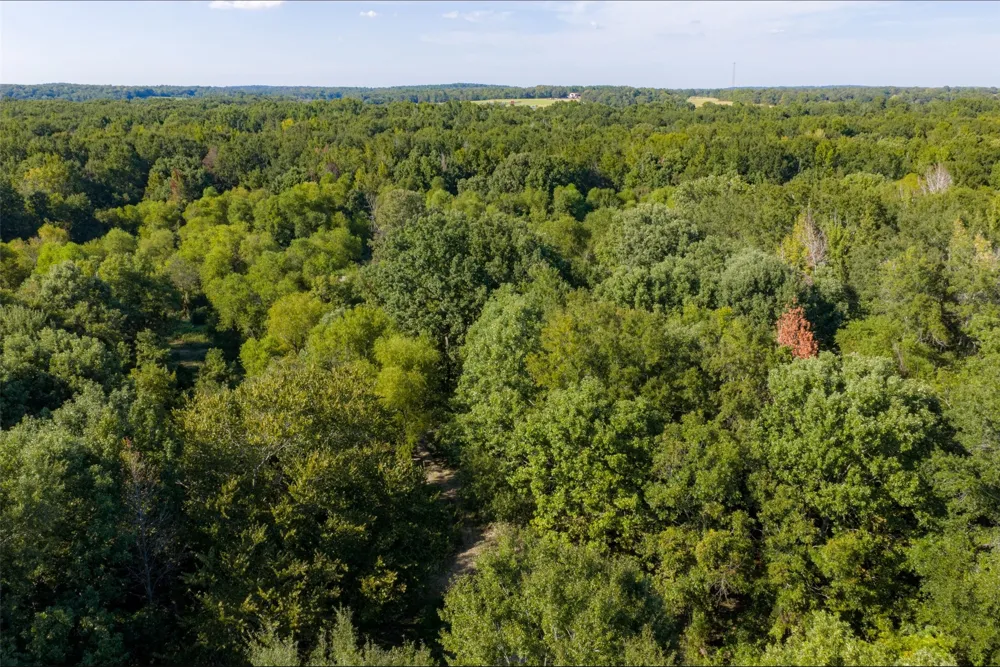 Cr-3516 Brownsboro, TX 75756