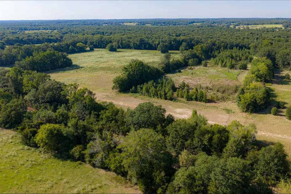Cr-3516 Brownsboro, TX 75756
