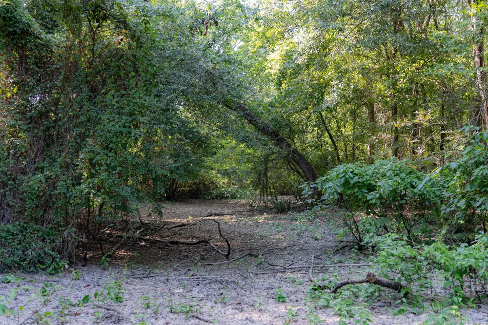 Cr-3516 Brownsboro, TX 75756