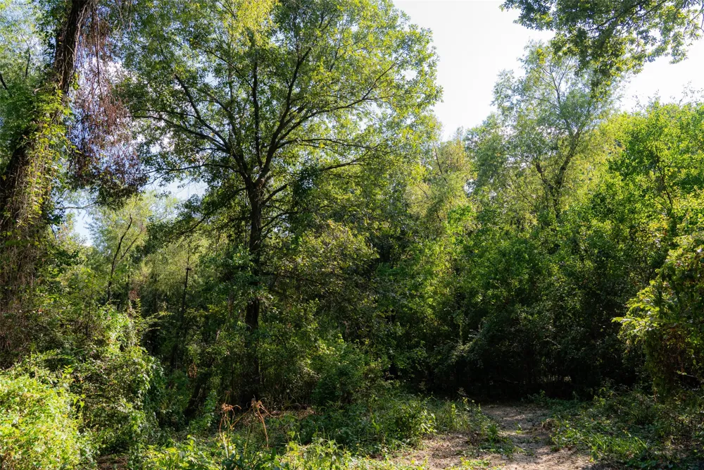 Cr-3516 Brownsboro, TX 75756