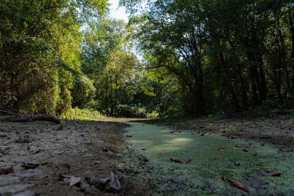 Cr-3516 Brownsboro, TX 75756