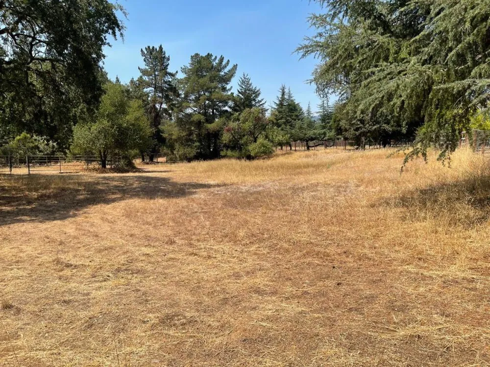 9175 Vista Del Monte Court Gilroy, CA 95020