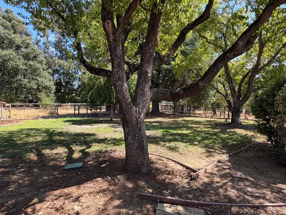 9175 Vista Del Monte Court Gilroy, CA 95020