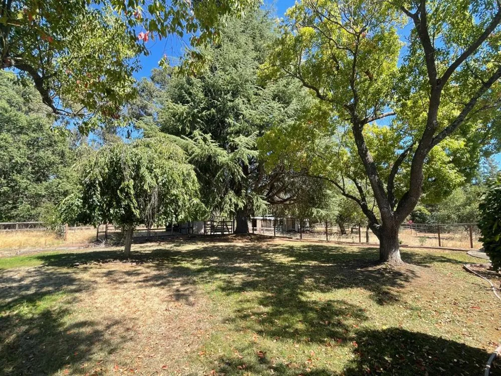 9175 Vista Del Monte Court Gilroy, CA 95020