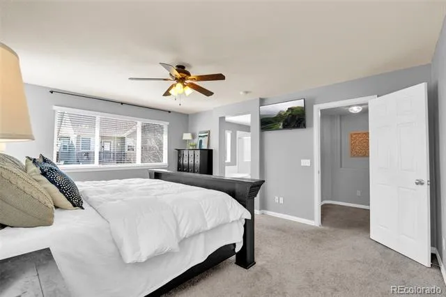3623 Desert Ridge Place Castle Rock, CO 80108
