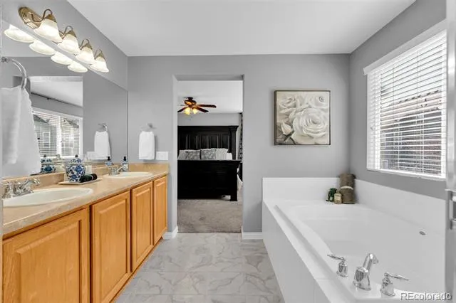 3623 Desert Ridge Place Castle Rock, CO 80108