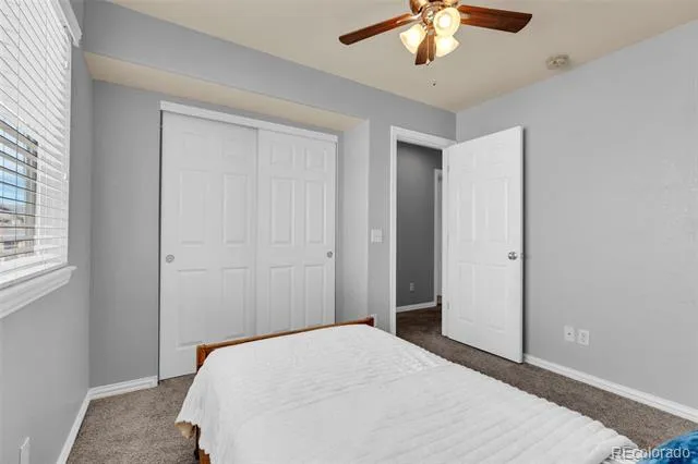 3623 Desert Ridge Place Castle Rock, CO 80108