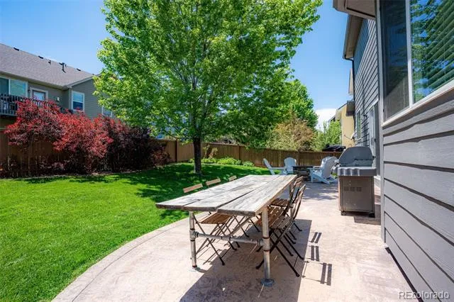 3623 Desert Ridge Place Castle Rock, CO 80108
