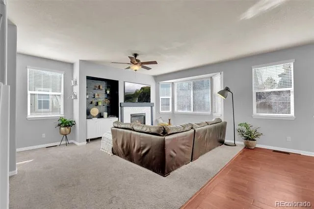 3623 Desert Ridge Place Castle Rock, CO 80108
