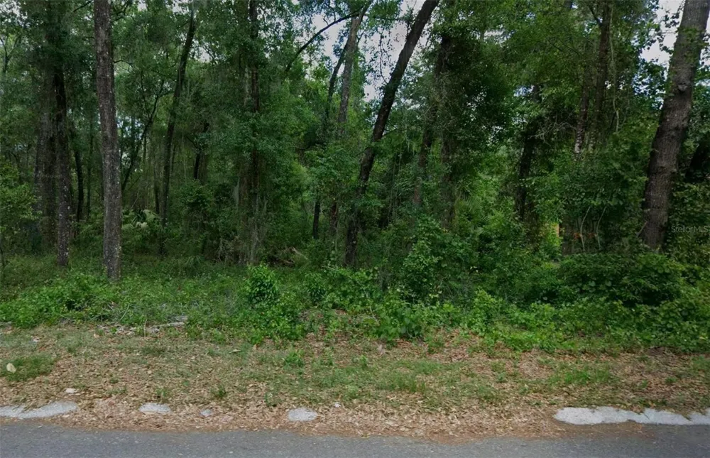 6033 E DELL LANE Inverness, FL 34452