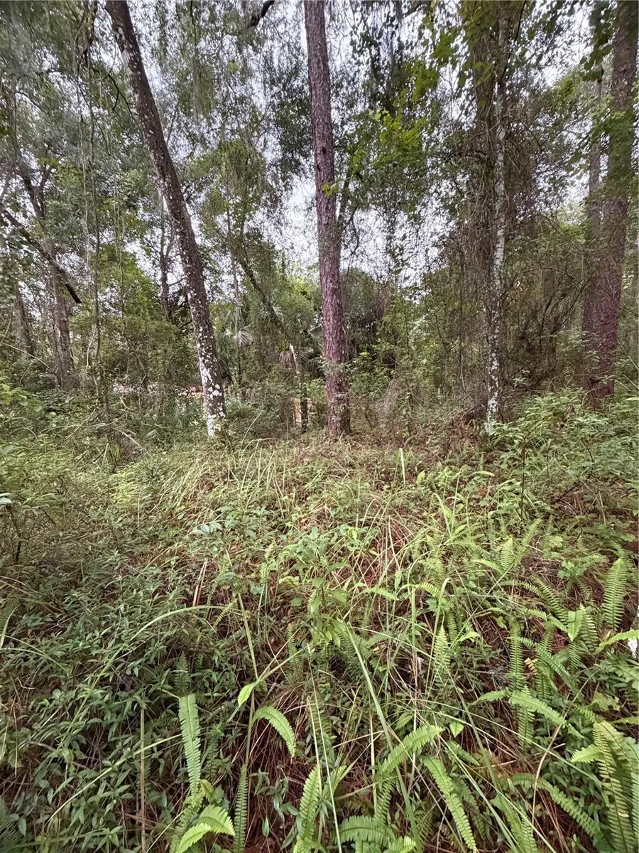 6033 E DELL LANE Inverness, FL 34452